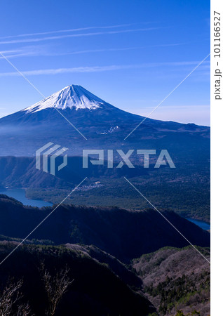 （山梨県）青空と富士山の絶景・王岳～鬼ヶ岳展望 101166527