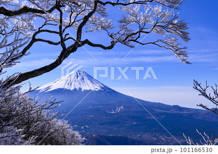 （山梨県）青空と富士山の絶景・王岳～鬼ヶ岳展望 101166530