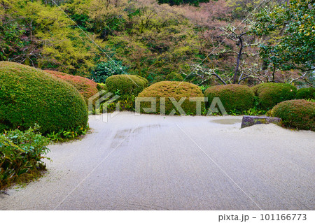 京都 雨の詩仙堂 しっとりと美しい日本庭園 京都 雨の詩仙堂 しっとりと美しい日本庭園 101166773