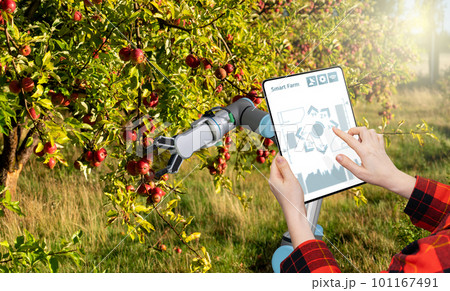 Farmer controls robotic arm with a tablet. Farmer controls robotic arm with a tablet. 101167491
