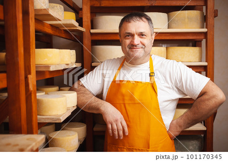 man cheesemaker in the cellar, beautiful wooden shelves with a ready cheese circle, ripening. Cheese production, home basement, indoor. Private entrepreneur. 101170345