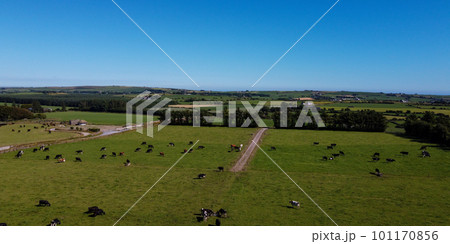 Picturesque farm fields of the south of Ireland under a blue sky on a sunny summer day. Animals in the pasture. Agricultural landscape. Livestock lands, top view. Green grass field under blue sky Picturesque farm fields of the south of Ireland under a blue sky on a sunny summer day. Animals in the pasture. Agricultural landscape. Livestock lands, top view. Green grass field under blue sky 101170856