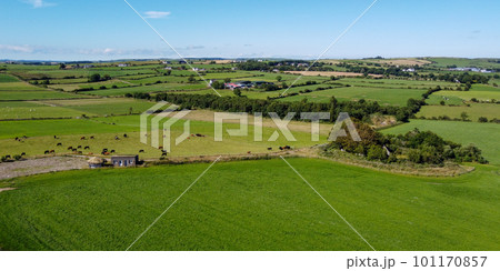 Vast pastures for cattle in the Ireland. Picturesque farmland, top view. Agricultural landscape on a sunny summer day. Nature. Green grass field under blue sky Vast pastures for cattle in the Ireland. Picturesque farmland, top view. Agricultural landscape on a sunny summer day. Nature. Green grass field under blue sky 101170857