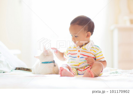 Baby playing with cat. Kid and kitten. Baby playing with cat. Kid and kitten. 101170902