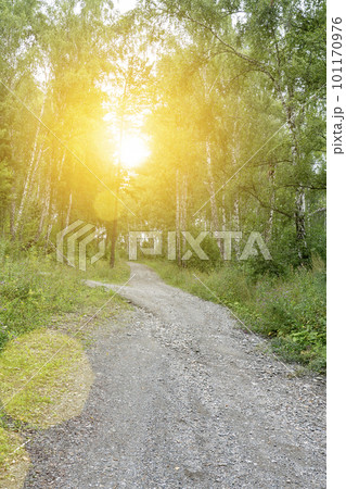 a dirt road in the mountains goes up, a dirt road passes along the mountain slope a dirt road in the mountains goes up, a dirt road passes along the mountain slope 101170976