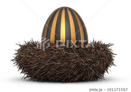 Golden and black Easter egg in bird nest isolated on white background. 101171507