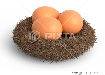 Farm raw organic brown eggs bird nest isolated on white background 101171556