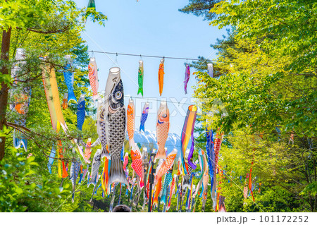 【初夏素材】大空を泳ぐ鯉のぼり【長野県】 101172252