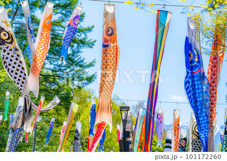 【初夏素材】大空を泳ぐ鯉のぼり【長野県】 【初夏素材】大空を泳ぐ鯉のぼり【長野県】 101172260