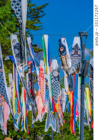 【初夏素材】大空を泳ぐ鯉のぼり【長野県】 101172267