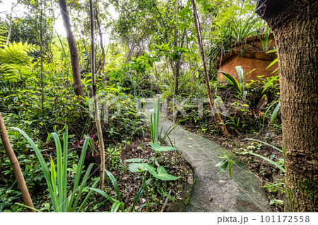 Lovely garden of a guesthouse at Mucuge in the Chapada Diamantina National Park, Bahia, Brazil 101172558