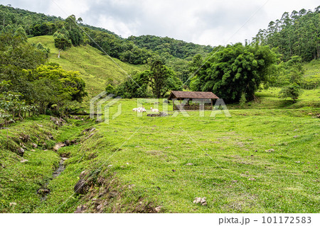 Green fields and meadows in the countryside of Pomerode, Santa Catarina in Brazil Green fields and meadows in the countryside of Pomerode, Santa Catarina in Brazil 101172583