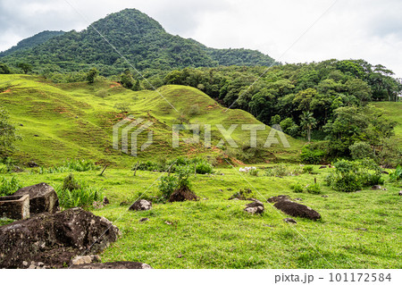 Green fields and meadows in the countryside of Pomerode, Santa Catarina in Brazil 101172584