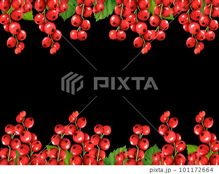 Watercolor frame of red ripe currant berries...のイラスト素材 [101172664] - PIXTA
