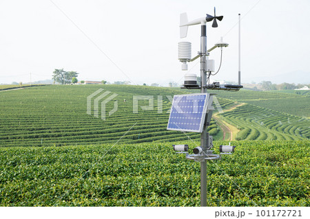 Weather station in green tea field, 5G technology with smart farming concept 101172721