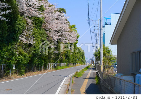 千葉県柏市船戸常磐自動車道沿線の風景2023年4月 千葉県柏市船戸常磐自動車道沿線の風景2023年4月 101172781