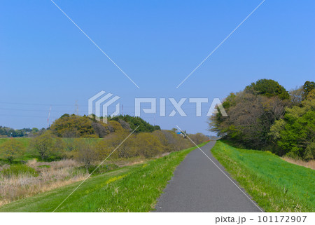 千葉県柏市利根運河柏市サイクリングロードの風景_どこまでも続く道2023年4月 101172907