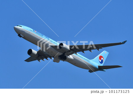 大韓航空の旅客機 A330-300 大韓航空の旅客機 A330-300 101173125