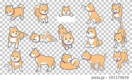 柴犬セットのベクターイラスト 101174659