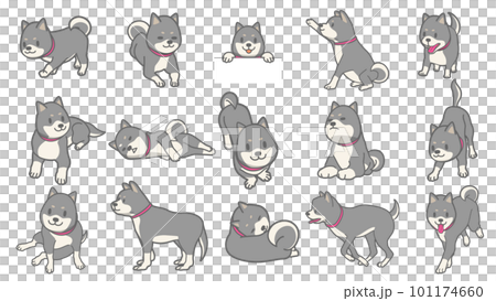 Vector illustration of black shiba set 101174660