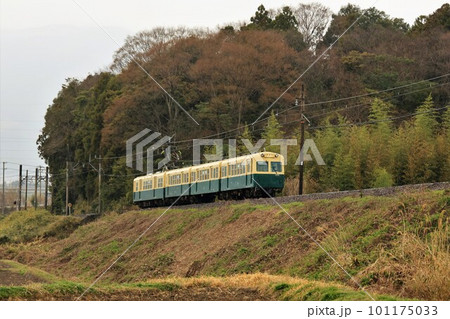 【三岐鉄道】200系〜三重交通カラー〜(北勢線:麻生田〜楚原) 【三岐鉄道】200系〜三重交通カラー〜(北勢線:麻生田〜楚原) 101175033