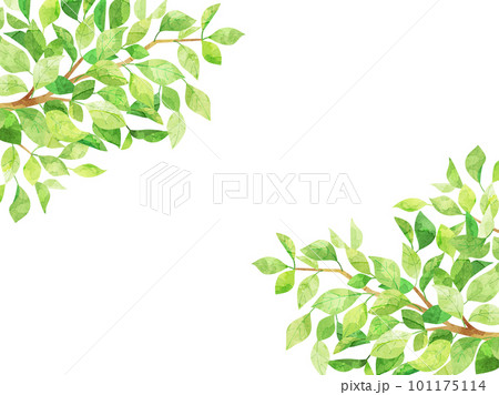 水彩風の新緑をイメージしたイラスト 101175114