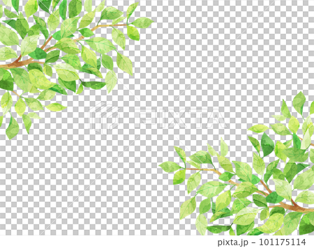 水彩風の新緑をイメージしたイラスト 101175114