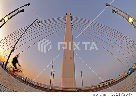 夕方の寒川銀河大橋を渡る自転車 101175947
