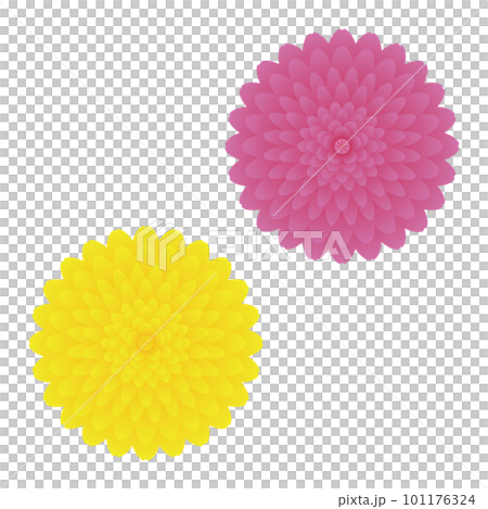 食用菊のイラスト 101176324
