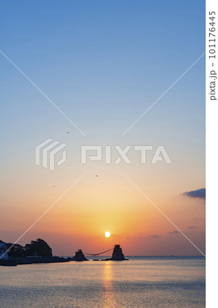 大分県佐伯市にある豊後二見ヶ浦の夫婦岩を結ぶ大しめ縄と初日の出 101176445