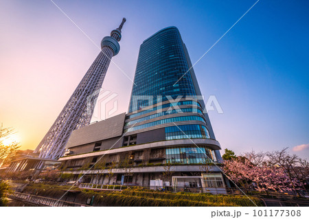 日本の東京都市景観 東京スカイツリーと太陽(夕陽)などを望む 日本の東京都市景観 東京スカイツリーと太陽(夕陽)などを望む 101177308
