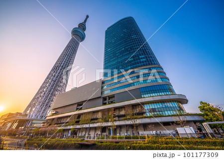 日本の東京都市景観 東京スカイツリーと太陽(夕陽)などを望む 日本の東京都市景観 東京スカイツリーと太陽(夕陽)などを望む 101177309