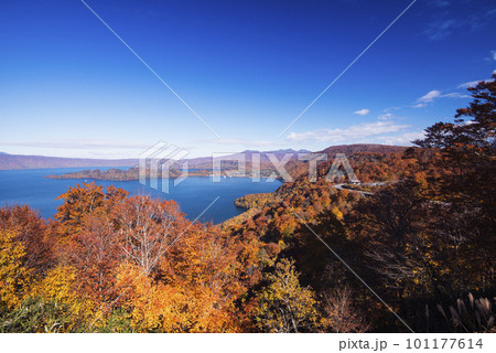 紫明亭展望台から紅葉の十和田湖 紫明亭展望台から紅葉の十和田湖 101177614