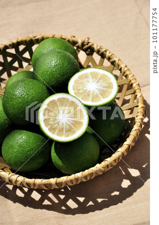 カゴに入ったカボス 101177754