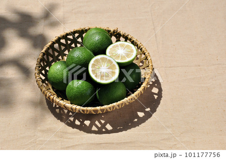 カゴに入ったカボス 101177756