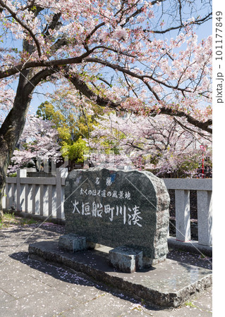桜の咲く大垣船町川湊　大垣市 101177849