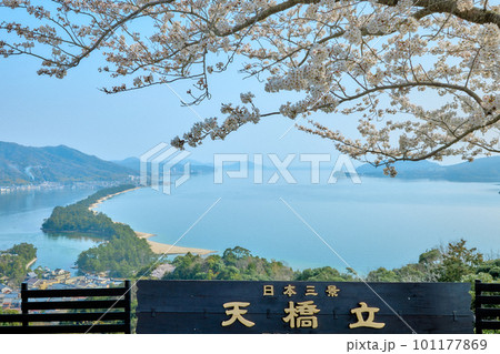天橋立と満開の桜　日本三景　京都　宮津　観光名所 101177869
