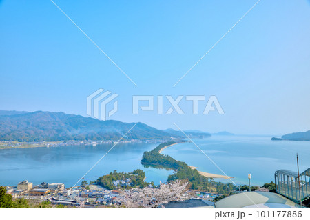 天橋立と満開の桜　日本三景　京都　宮津　観光名所 101177886