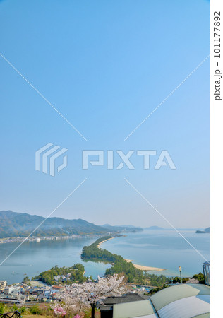 天橋立と満開の桜　日本三景　京都　宮津　観光名所 101177892