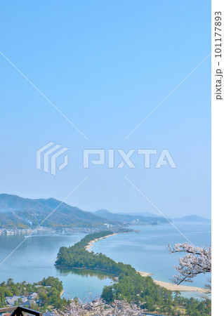 天橋立と満開の桜 日本三景 京都 宮津 観光名所 天橋立と満開の桜 日本三景 京都 宮津 観光名所 101177893