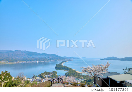 天橋立と満開の桜 日本三景 京都 宮津 観光名所 天橋立と満開の桜 日本三景 京都 宮津 観光名所 101177895