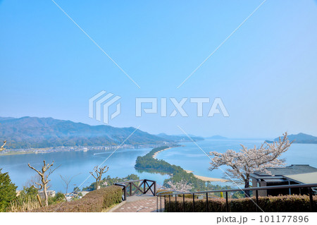 天橋立と満開の桜 日本三景 京都 宮津 観光名所 天橋立と満開の桜 日本三景 京都 宮津 観光名所 101177896