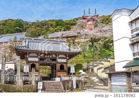 【第23番札所】春の薬王寺　仁王門【四国八十八箇所】 101178082