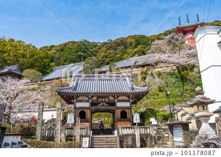 【第23番札所】春の薬王寺　仁王門【四国八十八箇所】 101178087