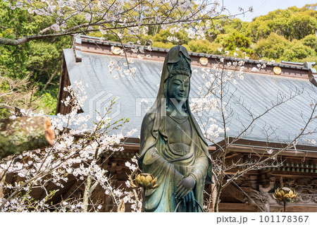 【第23番札所】春の薬王寺 魚籃観音【四国八十八箇所】 【第23番札所】春の薬王寺 魚籃観音【四国八十八箇所】 101178367