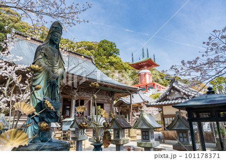 【第23番札所】春の薬王寺 魚籃観音【四国八十八箇所】 【第23番札所】春の薬王寺 魚籃観音【四国八十八箇所】 101178371