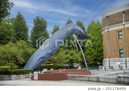 上野恩賜公園・国立科学博物館のくじらの巨大オブジェ 101178409