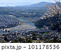 錦帯橋の春景 101178536