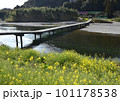 清流錦川の沈下橋 101178538