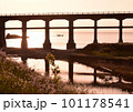惣郷川橋梁-1 101178541
